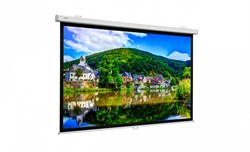 Проекционный экран Projecta ProScreen CSR (10200200) 160х160 см - фото 24177