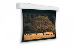 Проекционный экран с электроприводом Projecta Tensioned Elpro Large Electrol (10102683) 300x400 см - фото 24595