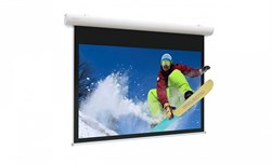 [10102096] Экран Projecta Elpro Concept 139x240 см (104") Matte White - фото 25212