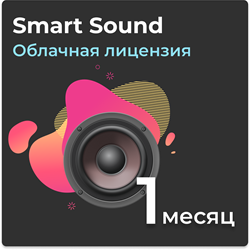 Smart Sound Воспроизведение аудио и управления фоновыми звуками.  Подписка на 1 месяц - фото 28429