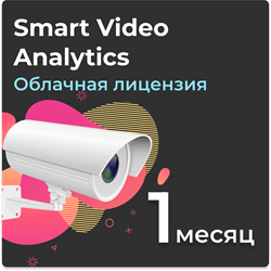 Smart Video Analytics and Touch Анализ видеоданных и управление сложным визуальным и интерактивным контентом. Подписка на 1 месяц - фото 28439