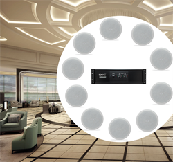 Комплект потолочной врезной трансляционной акустики  для гостиниц и отелей - фото 29614