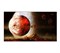 Бюджетный дисплей LK-55UL1SN 55" LK-55UL1SN - фото 23165 Бюджетный дисплей LK-55UL1SN 55" LK-55UL1SN - фото 23165